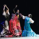Ocho bailaoras emergentes extremeas se suben al Tablao ntimo Flamenco de Badajoz