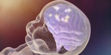 La conducta impulsiva de los nios se relaciona con su conectividad cerebral