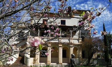 'Retrato de una mujer en llamas' en Ciclo de cine en los jardines del Museo Pedrilla