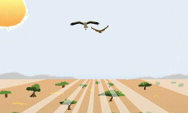 Las aves extremeñas, protagonistas del último corto animado de Pedro Alonso Pablos