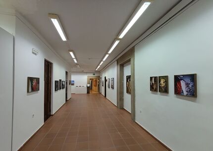 La exposicin Yo quiero un novio aceitunero de Luca Herrero llega a Plasencia