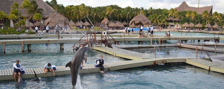 Conocer Xcaret un viaje perfecto para hacerlo con toda la familia