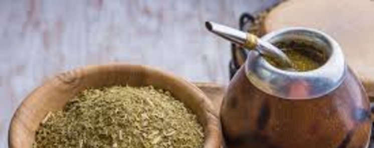 La Yerba Mate y sus beneficios en la salud  